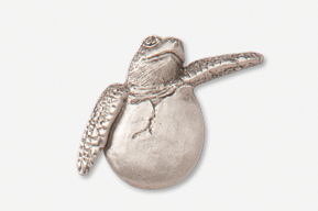 A silver turtle is shown in this picture.