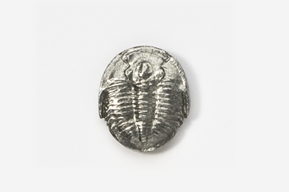 A silver object with a picture of a trilobite.