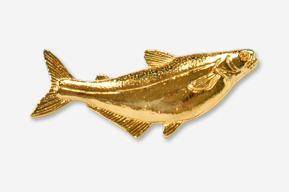 A gold fish is shown in this picture.