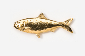 A gold fish is shown on the white background.