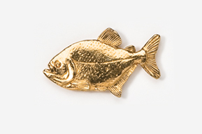 A gold fish is shown in this picture.