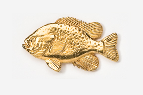 A gold fish is shown in this picture.