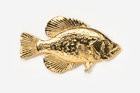 A gold fish is shown on the white background.