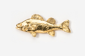 A gold fish is shown in this picture.