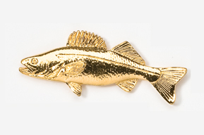 A gold fish is shown in this picture.