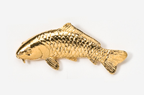 A gold fish is shown in this picture.