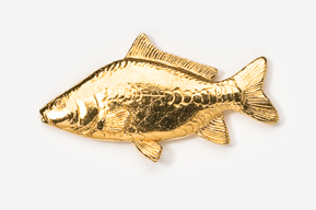 A gold fish is shown in this picture.