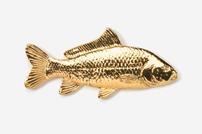 A gold fish is shown in this picture.