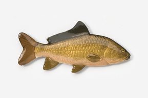 A fish is shown in this picture.