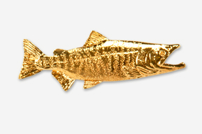 A gold fish is shown in this picture.