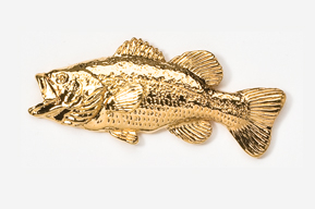 A gold fish is shown on the white background.