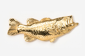 A gold fish is shown in this picture.