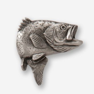 A fish is shown in this picture.