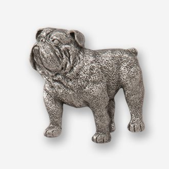A silver dog is standing up to the side.