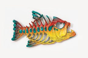 A colorful fish skeleton is shown in this image.