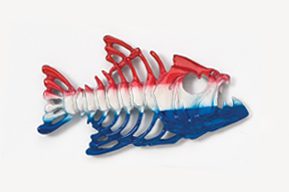 A red white and blue fish skeleton with the american flag colors.