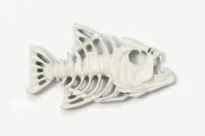 A white fish skeleton is shown in this picture.