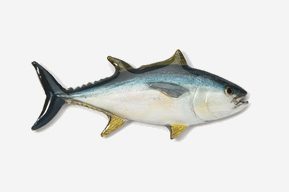 Bluefin Tuna Antiqued Pewter Pin