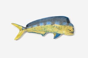 A blue and yellow fish is laying on the ground.