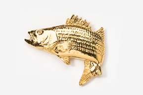 A gold fish pin is shown on a white background.