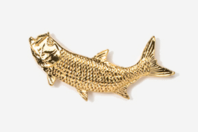 A gold fish is shown in this picture.