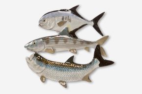 Three fish are shown in a row, one of which is a striped bass.