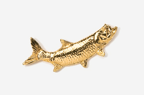 A gold fish is shown in this picture.