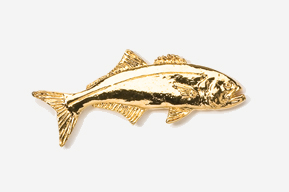 A gold fish is shown in this picture.