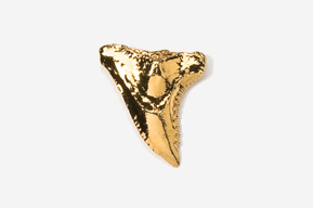 A gold shark tooth is shown on top of the white background.