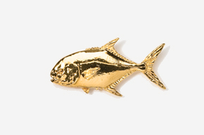 A gold fish is shown in this picture.