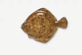 A brown fish shaped plate on top of a white table.