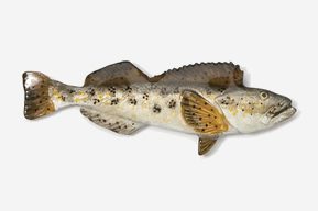 A fish with brown spots and black spots on it's body.