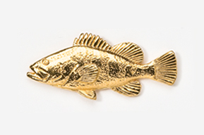 A gold fish is shown on the white background.