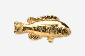 A gold fish is shown in this picture.