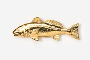 A gold fish is shown in this picture.