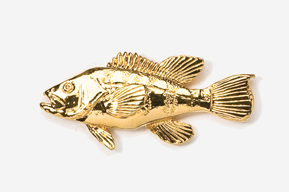 A gold fish is shown in this picture.