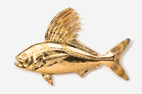 A gold fish with long fins and a tail.