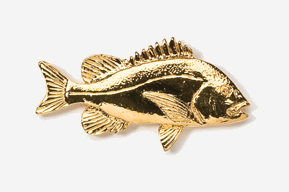 A gold fish is shown in this picture.