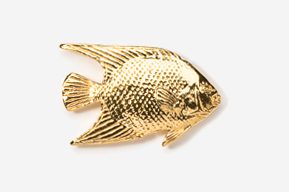 A gold fish is shown in this picture.