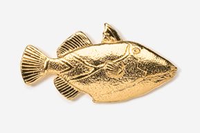 A gold fish is shown in this picture.