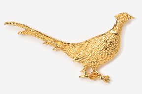 A gold bird is sitting on the ground.