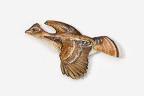 A bird flying in the air with its wings spread.