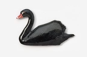 A black swan is sitting on the ground.