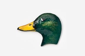 A duck head with green feathers and yellow beak.