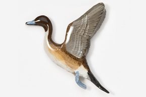 A duck flying in the air with its wings spread.