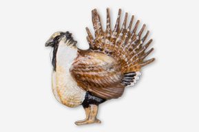 A turkey is standing in the middle of an image.