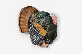 A turkey is posed to look like it has been dressed in clothes.