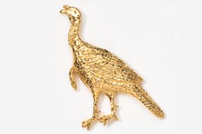 A gold bird is standing on the ground.