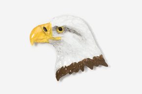 A bald eagle head with brown feathers on it's face.