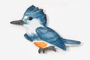 A blue bird with an orange beak and tail.